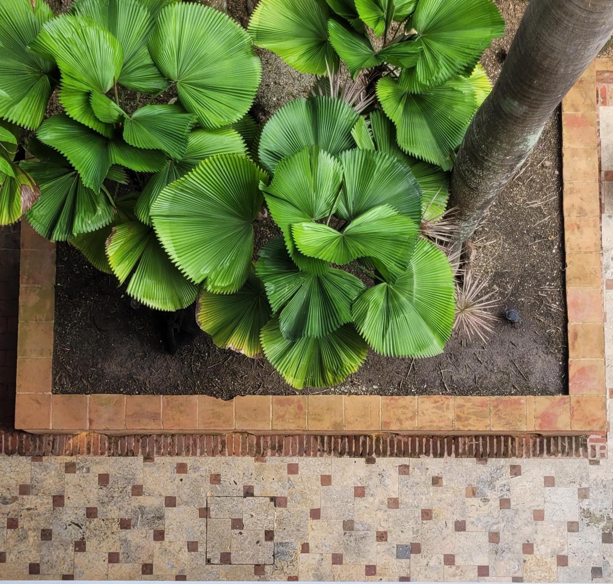 Heritage Residences Signature Collection Σάντο Ντομίγκο Εξωτερικό φωτογραφία